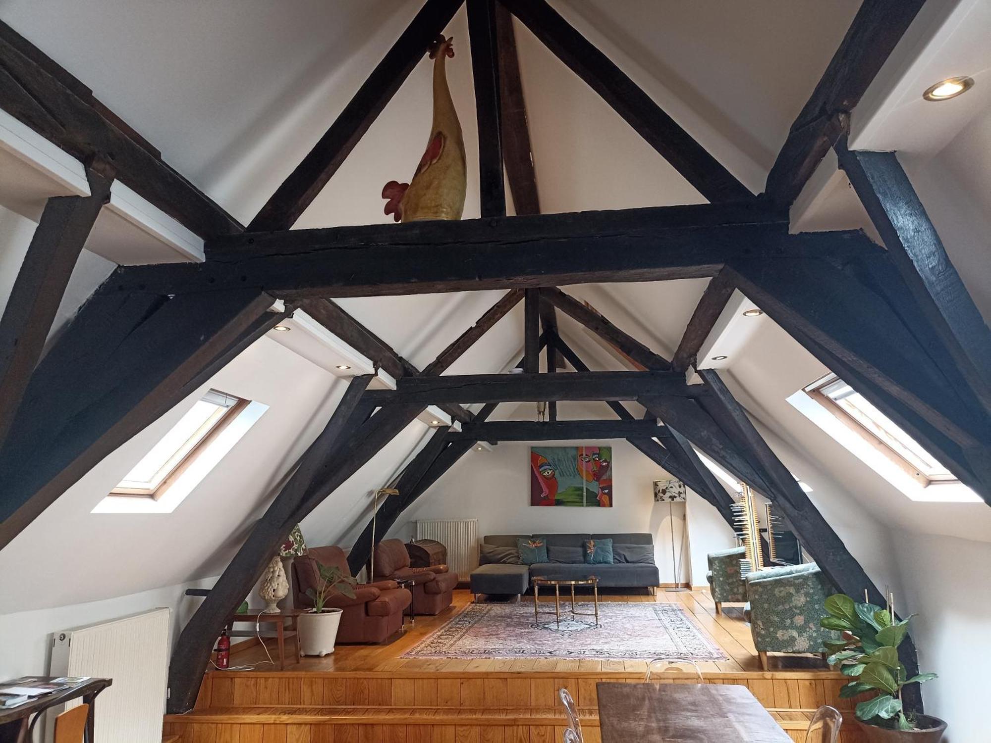 Spacious Duplex In Brussels Historical Center エクステリア 写真
